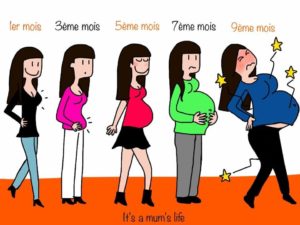 Protection des femmes enceintes.