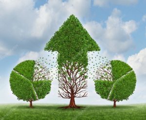 Perte du marché = transfert d’entreprise ?